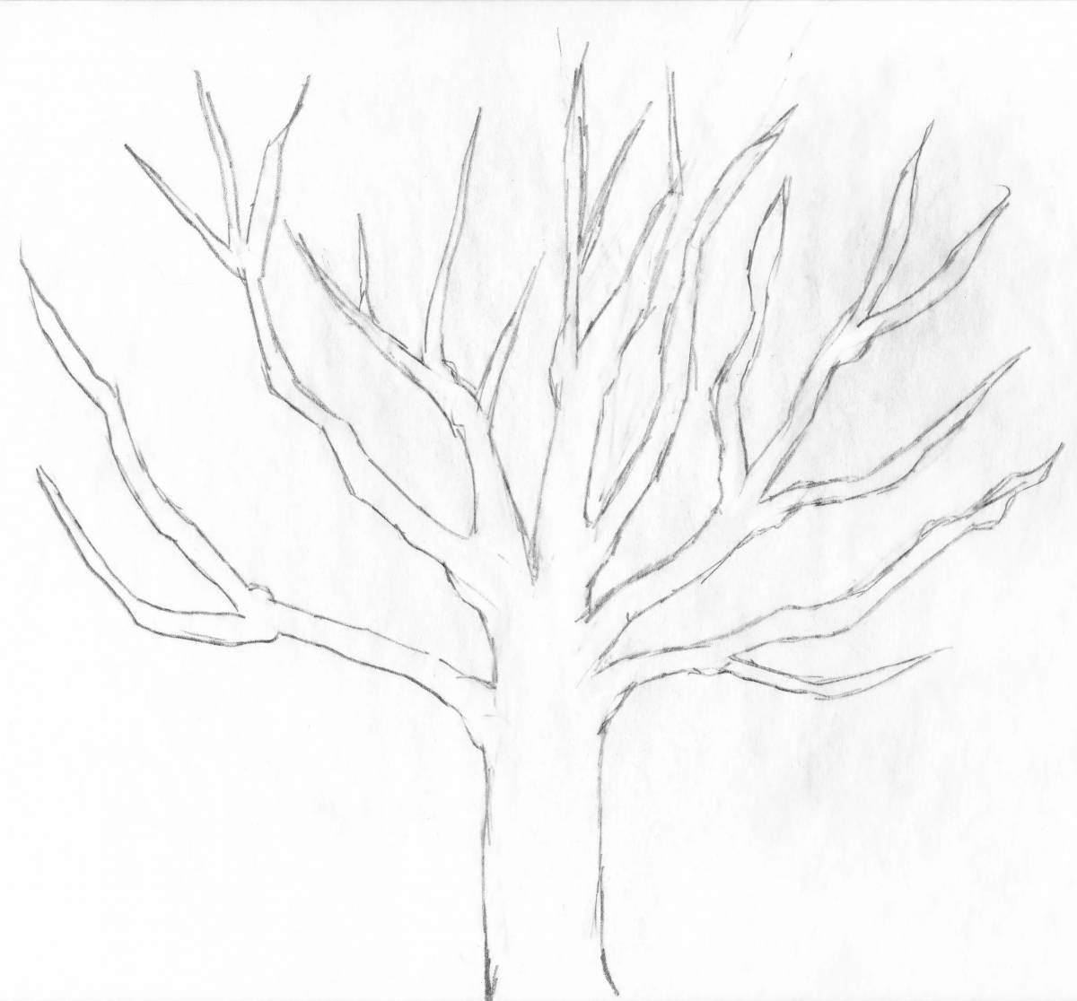 Fun coloring book with spreading tree