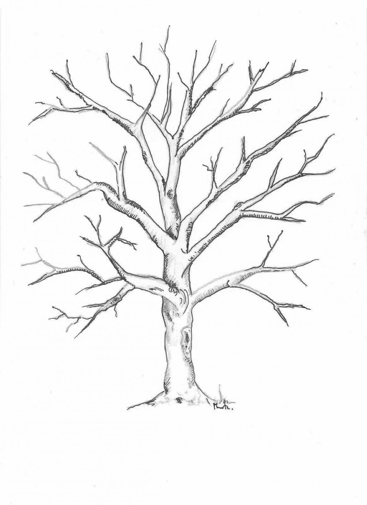 A witty drawing of a sprawling tree