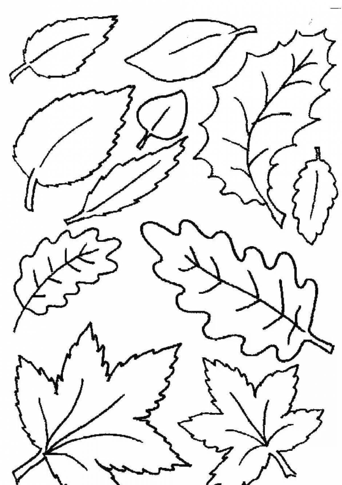 Cute autumn coloring book for 3-4 year olds