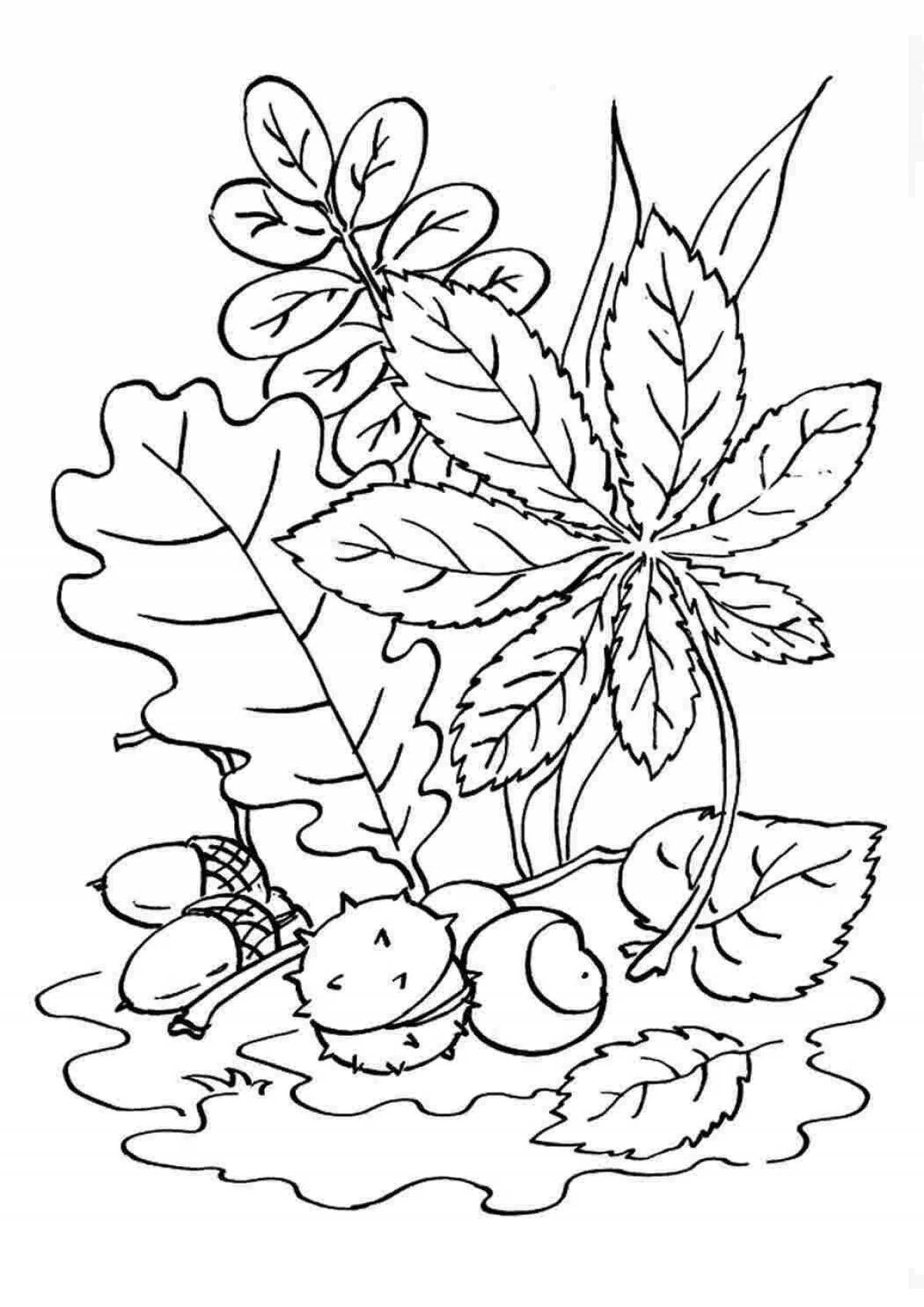 Exciting autumn coloring book for 3-4 year olds