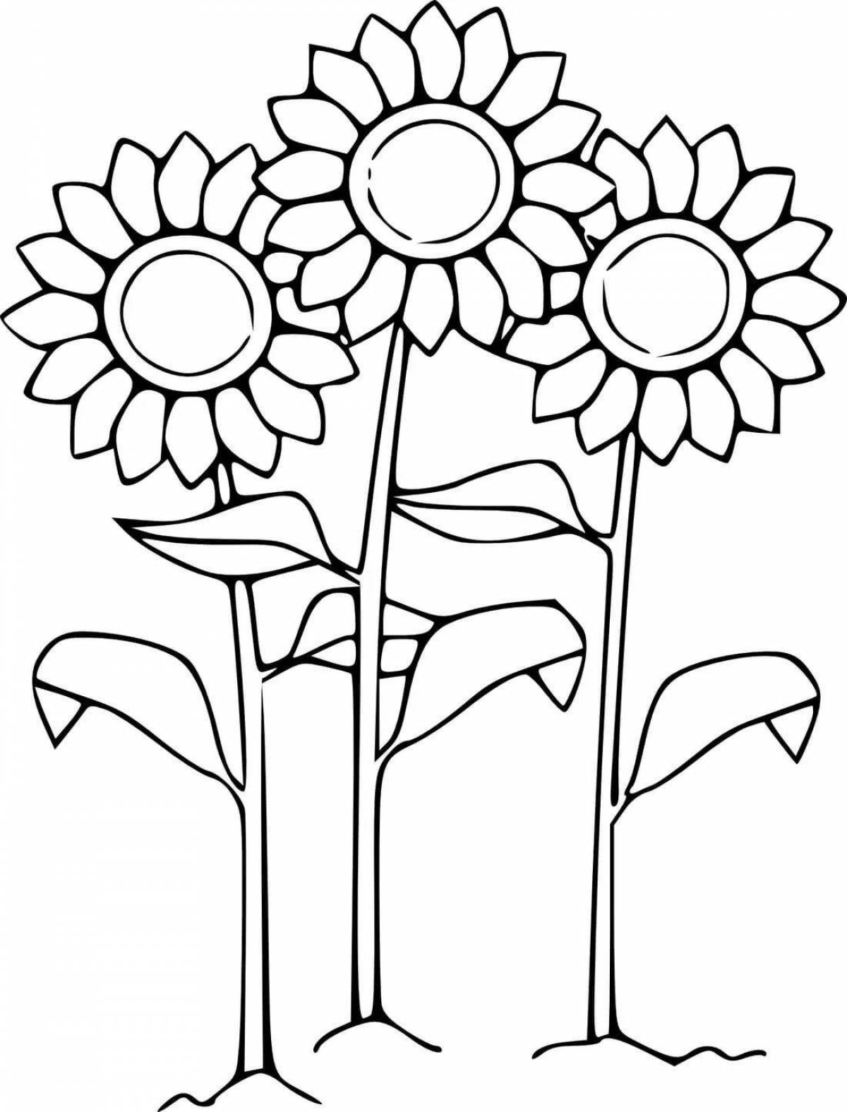 Fun coloring book sunflowers for kids 2-3 years old