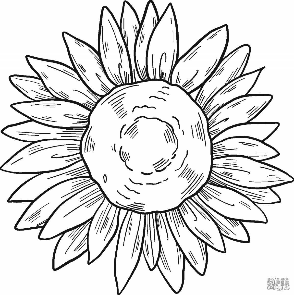 Photo Coloring book happy sunflower for preschoolers 2-3 years old