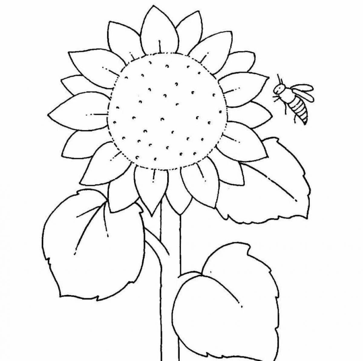 Bright sunflower coloring book for children 2-3 years old