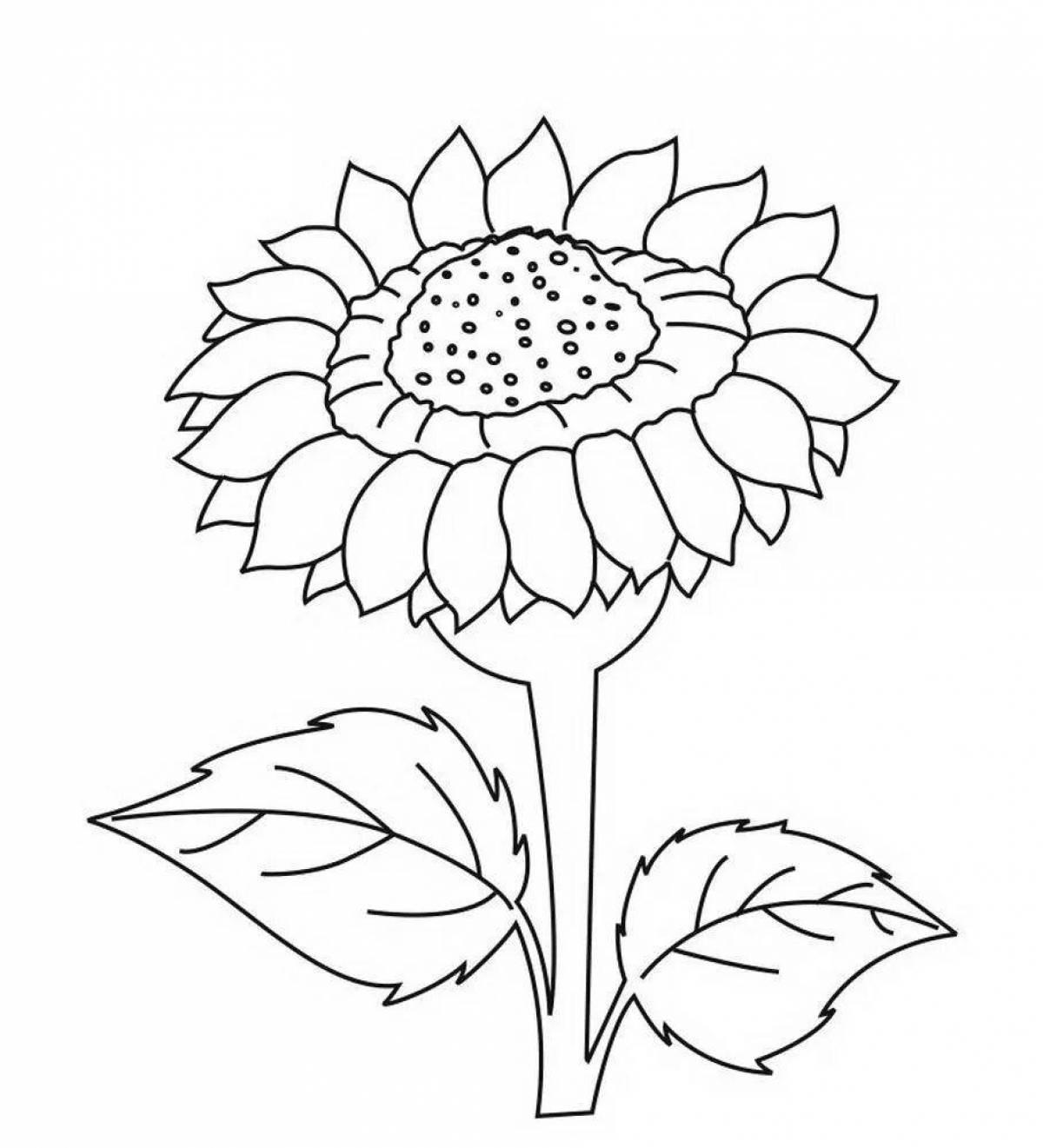 Coloring book shining sunflower for children 2-3 years old