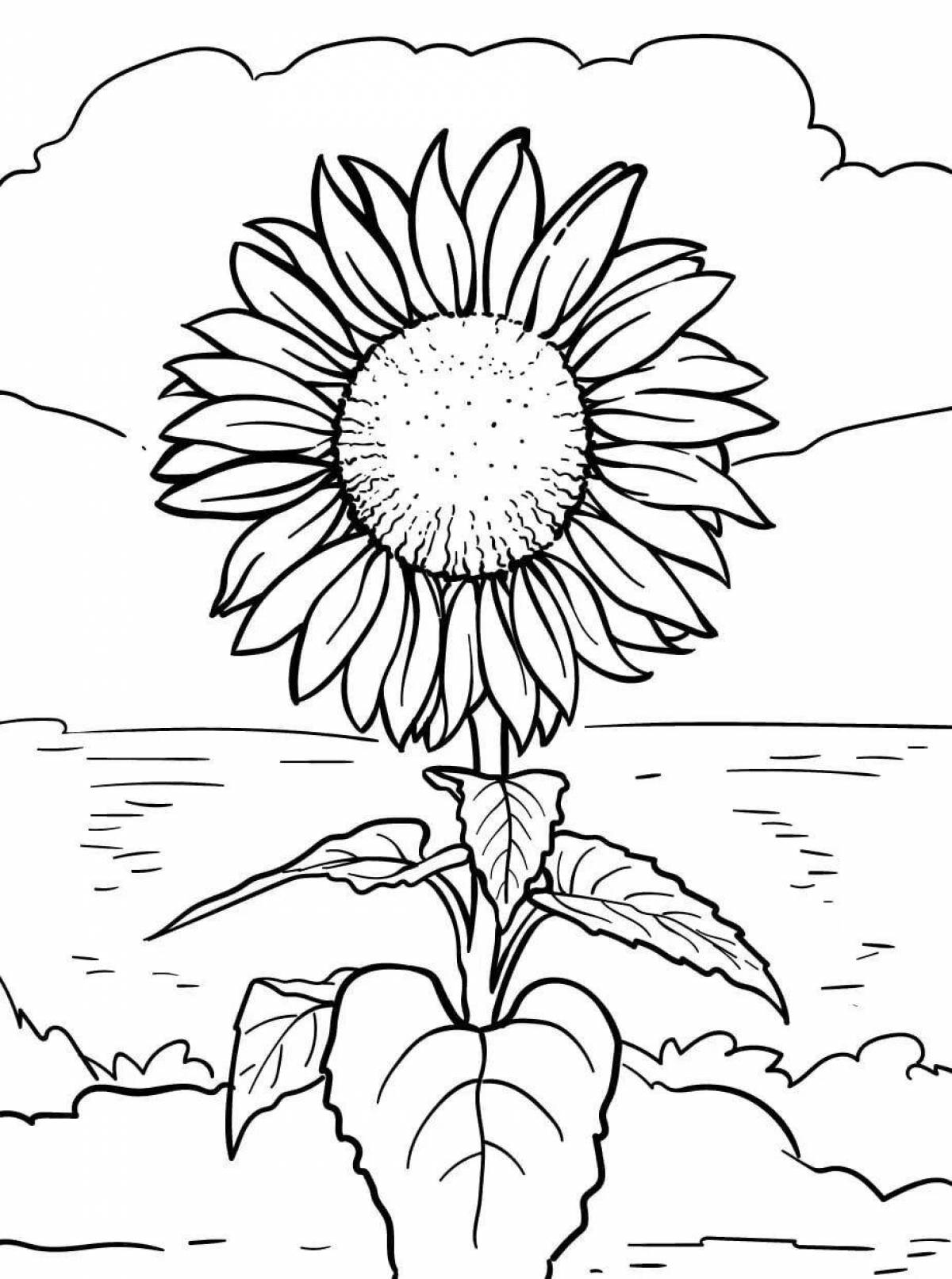 Sunflower playful coloring book for 2-3 year olds