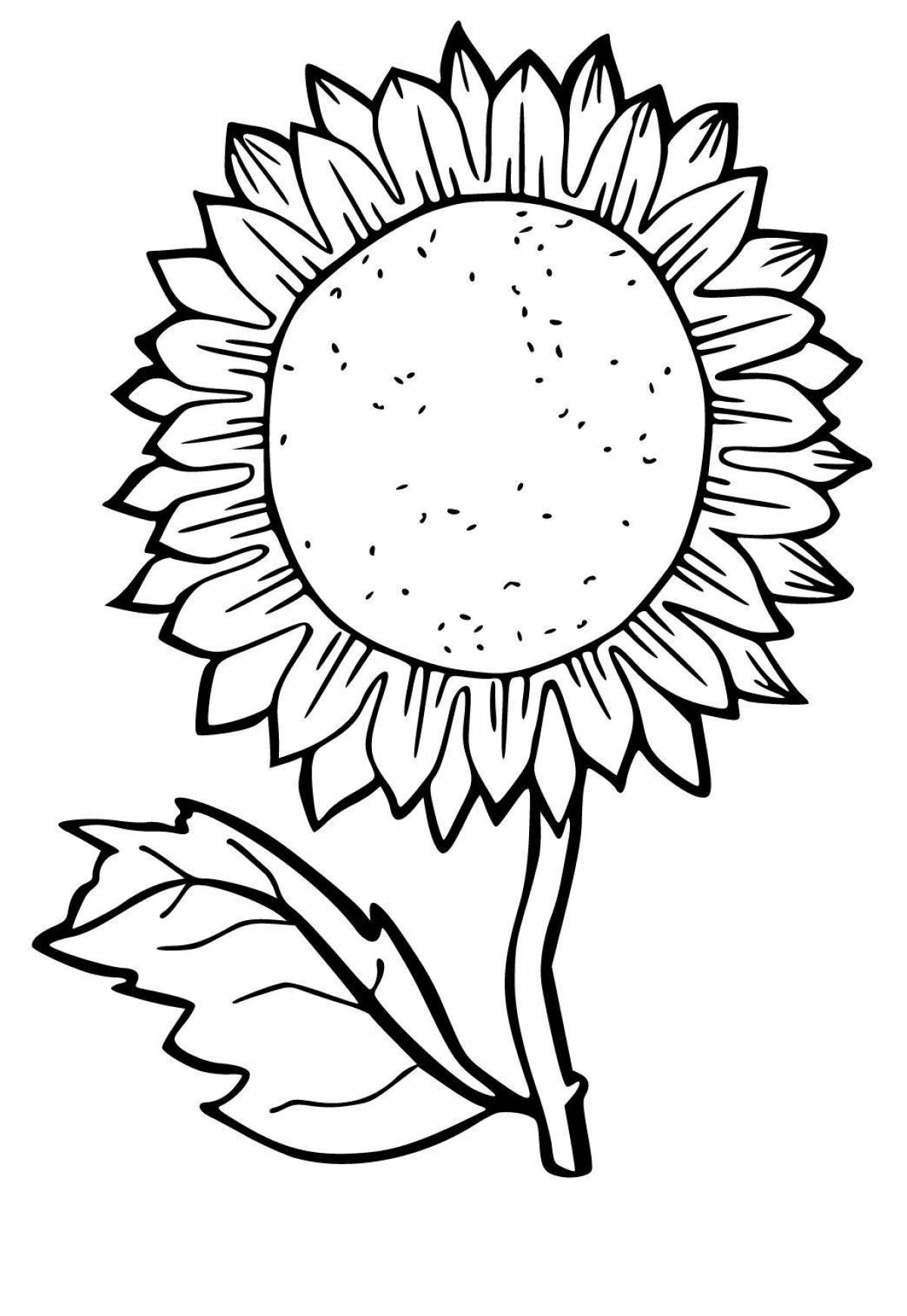 Photo Great sunflower coloring book for kids 2-3 years old