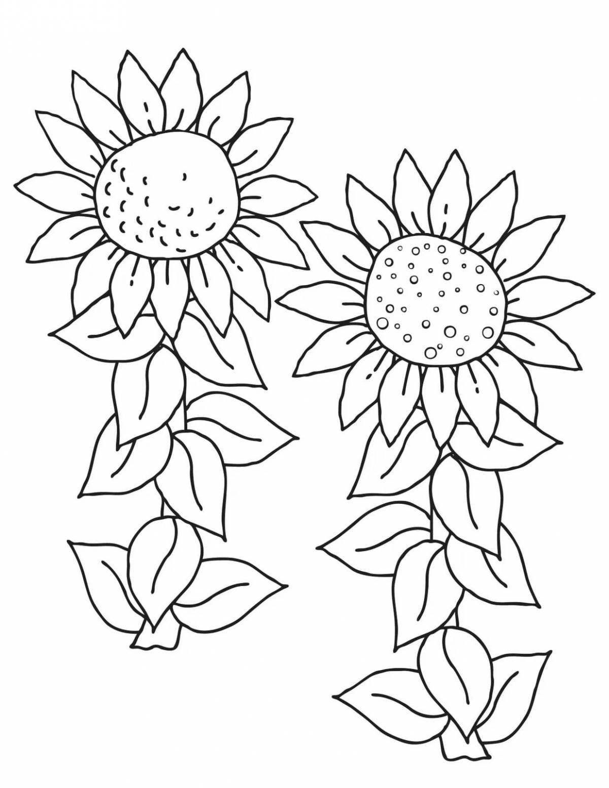 Great sunflower coloring book for kids 2-3 years old