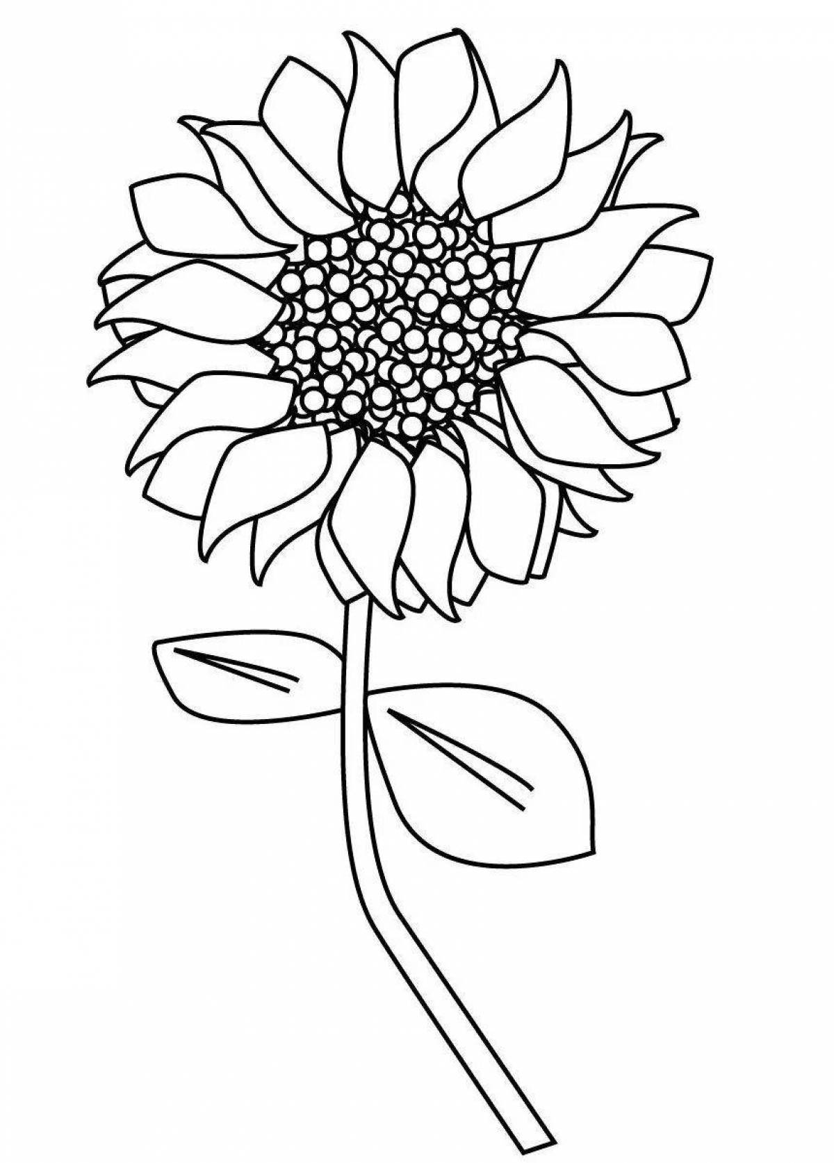 Great sunflowers coloring book for preschoolers 2-3 years old
