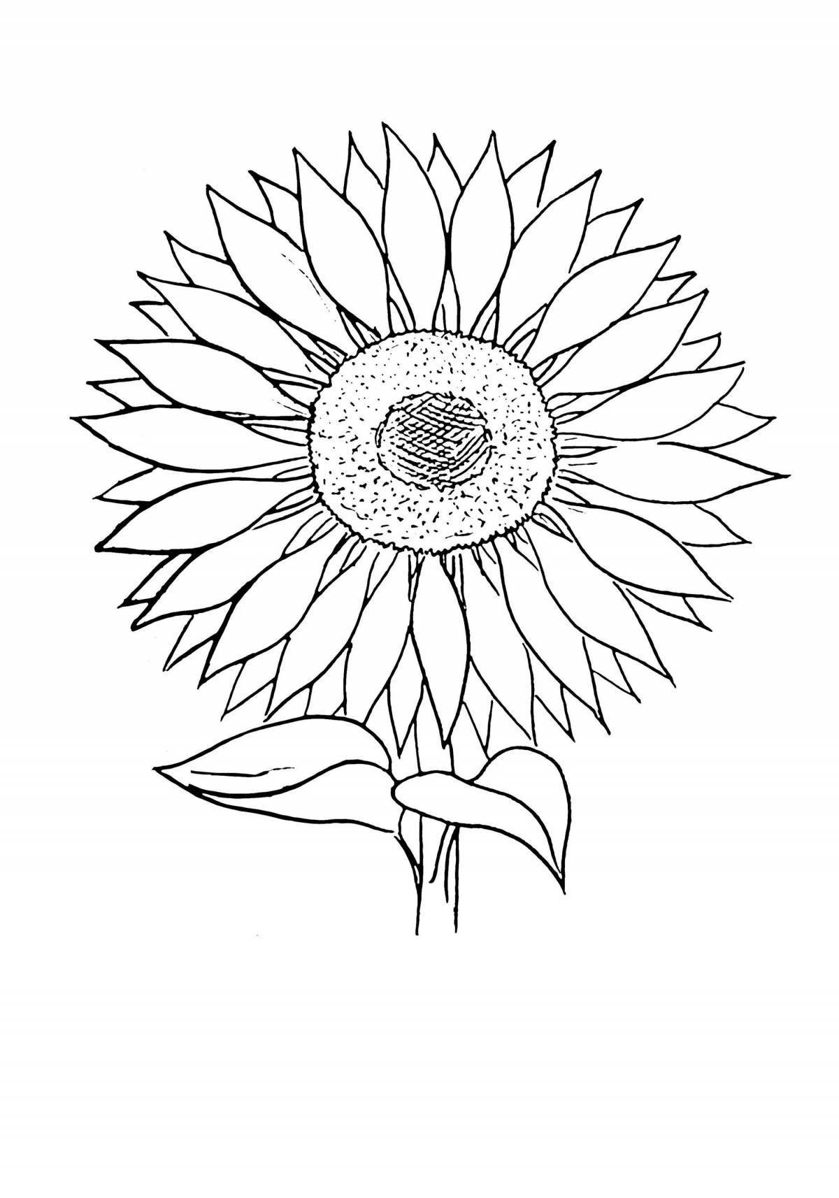 Cute sunflower coloring book for 2-3 year olds