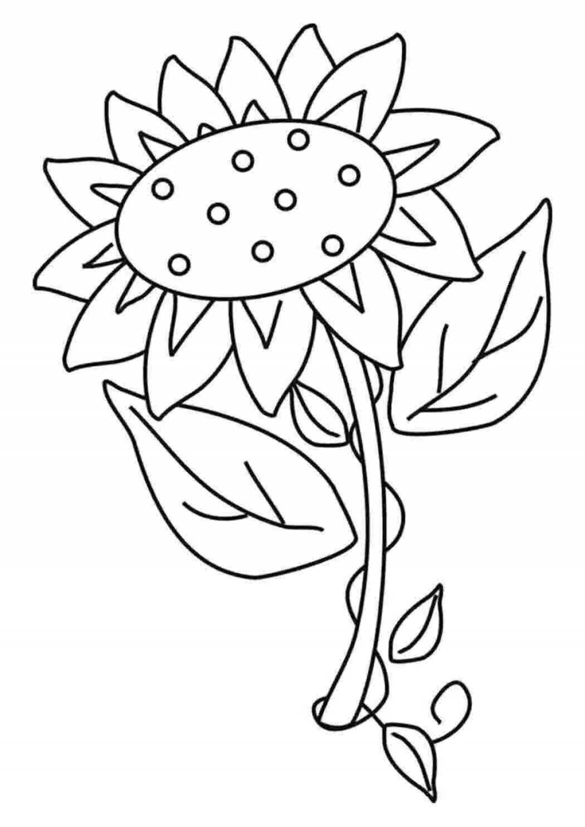 A wonderful sunflower coloring book for preschoolers 2-3 years old