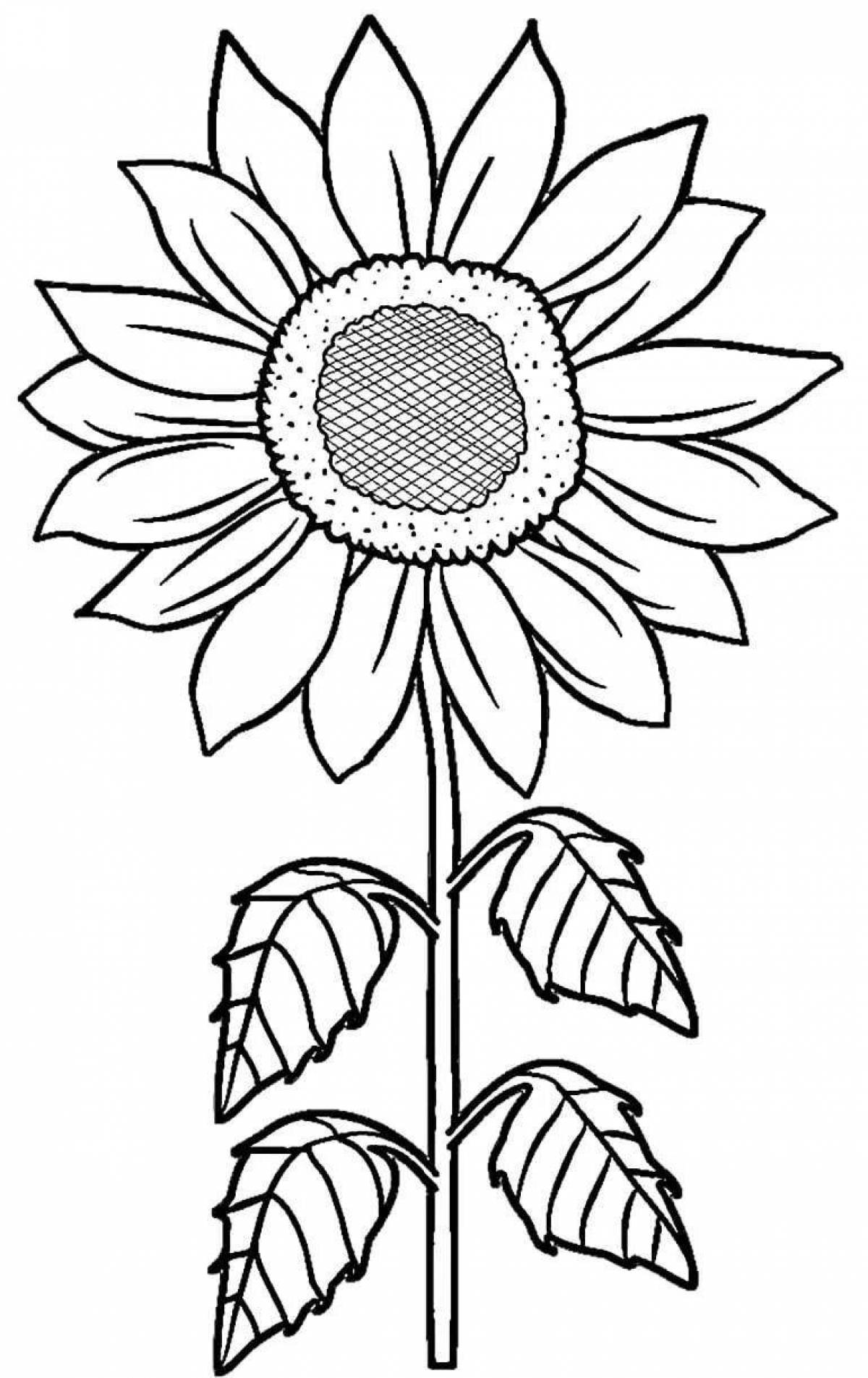 Glitter sunflower coloring book for 2-3 year olds