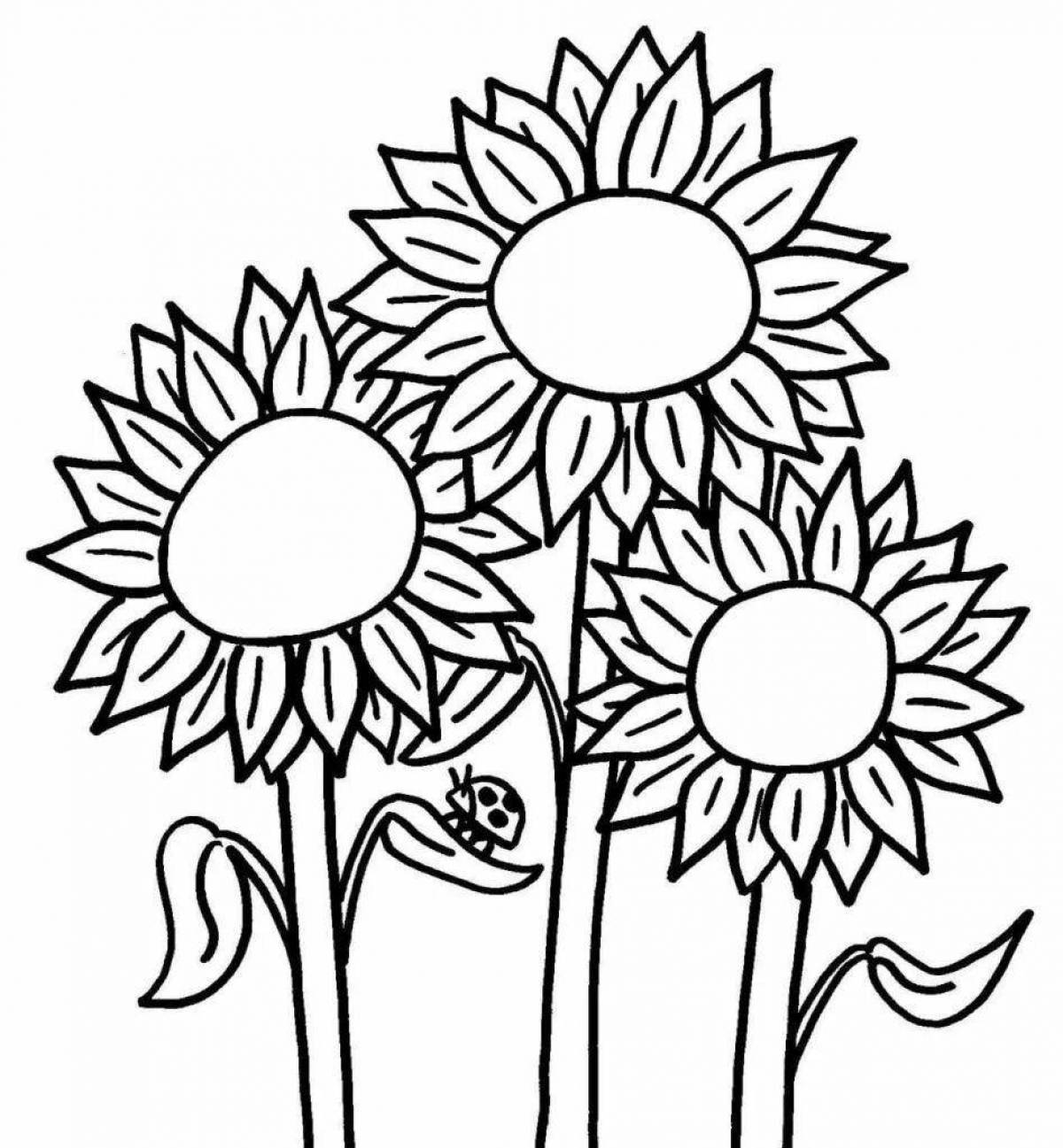 Amazing sunflowers coloring book for kids 2-3 years old