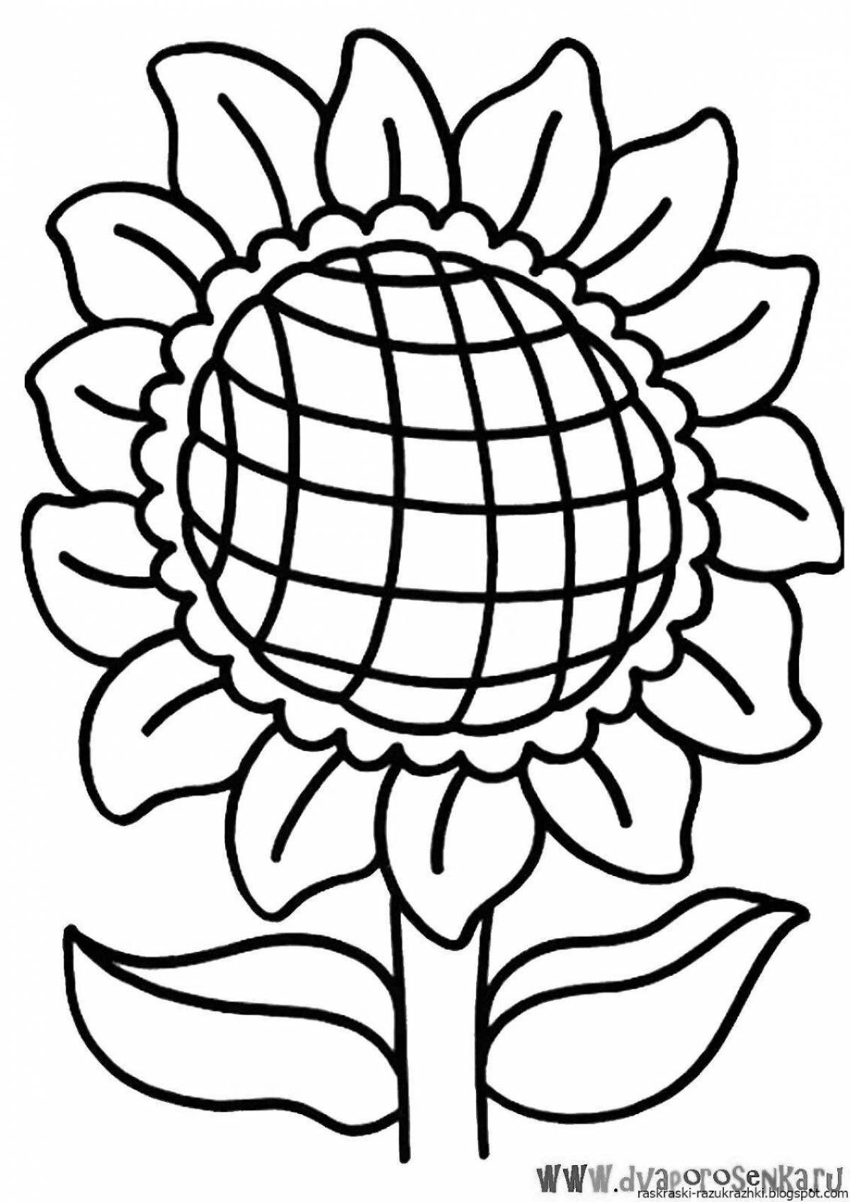 Impressive sunflower coloring book for preschoolers 2-3 years old