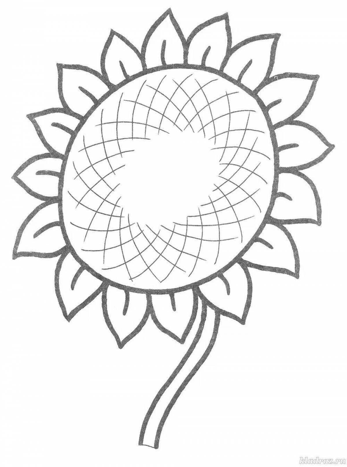 Outstanding sunflower coloring book for 2-3 year olds
