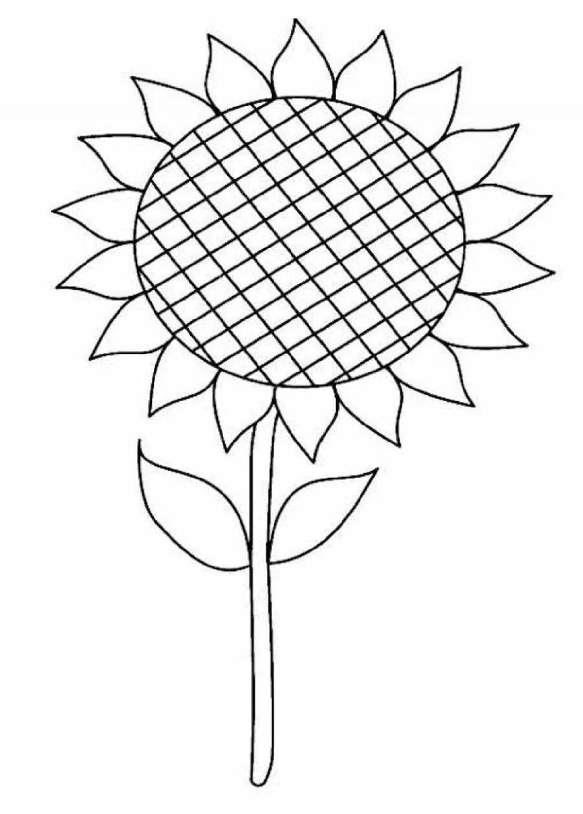 Gorgeous sunflower coloring book for preschoolers 2-3 years old