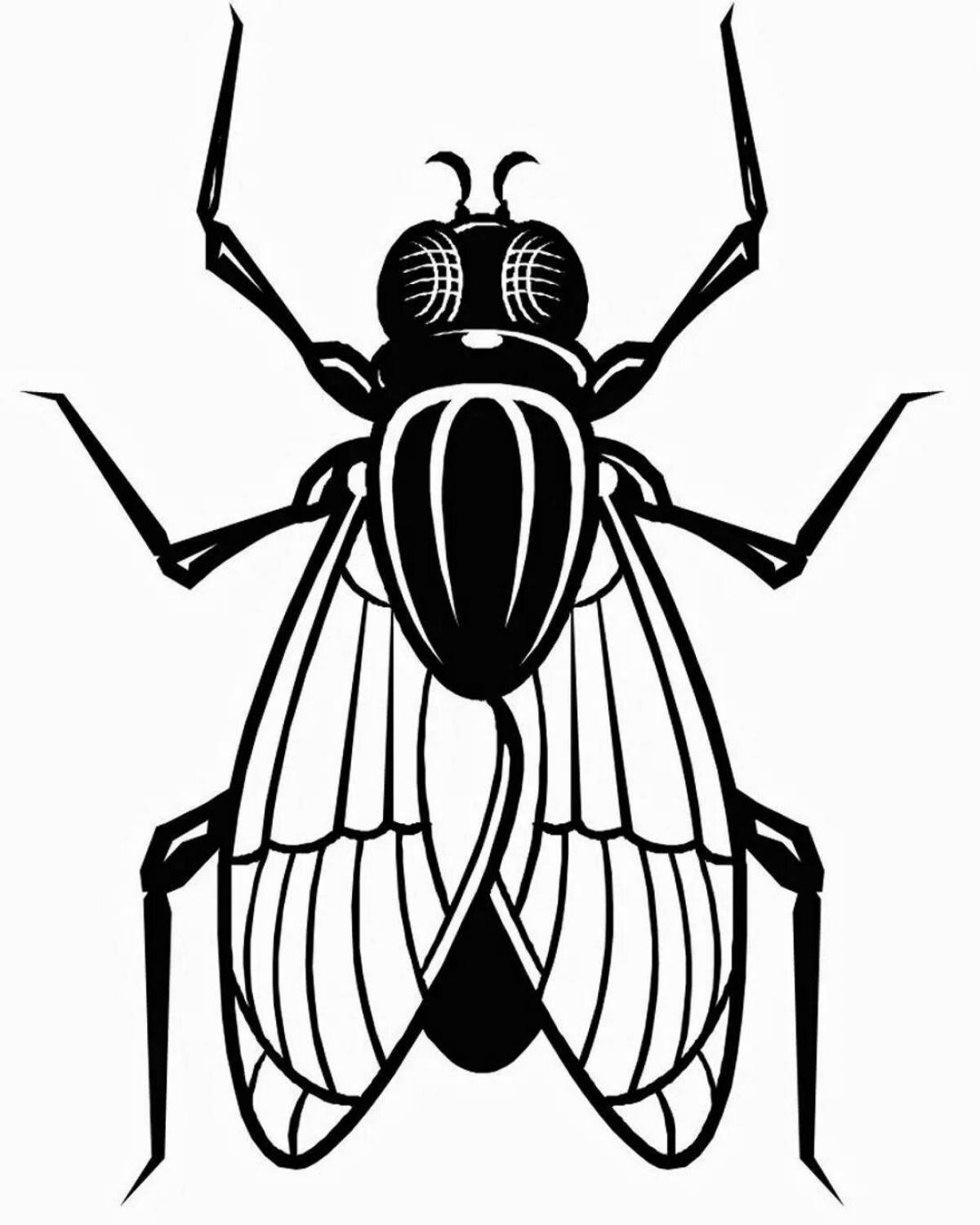Colorful fly coloring page for 3-4 year olds