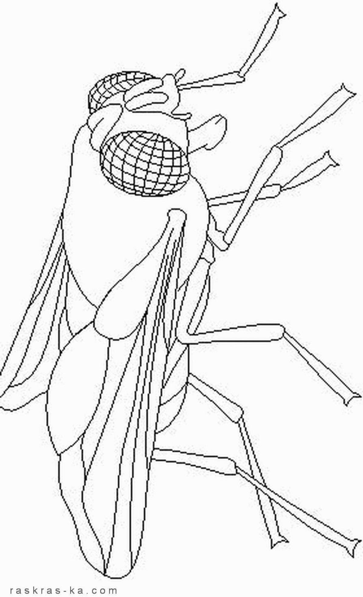 Fly coloring book for kids 3-4 years old