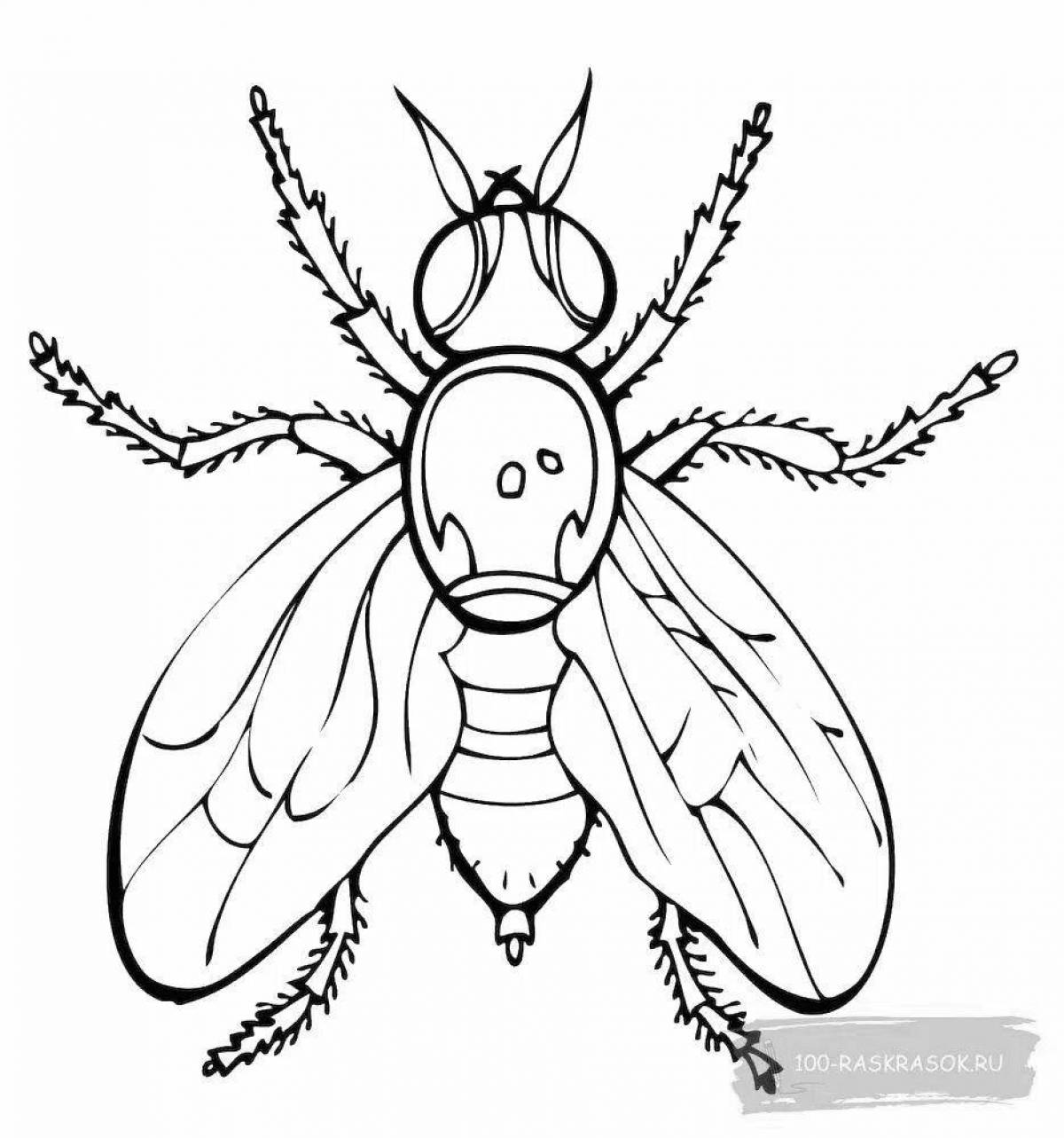Cute fly coloring book for 3-4 year olds