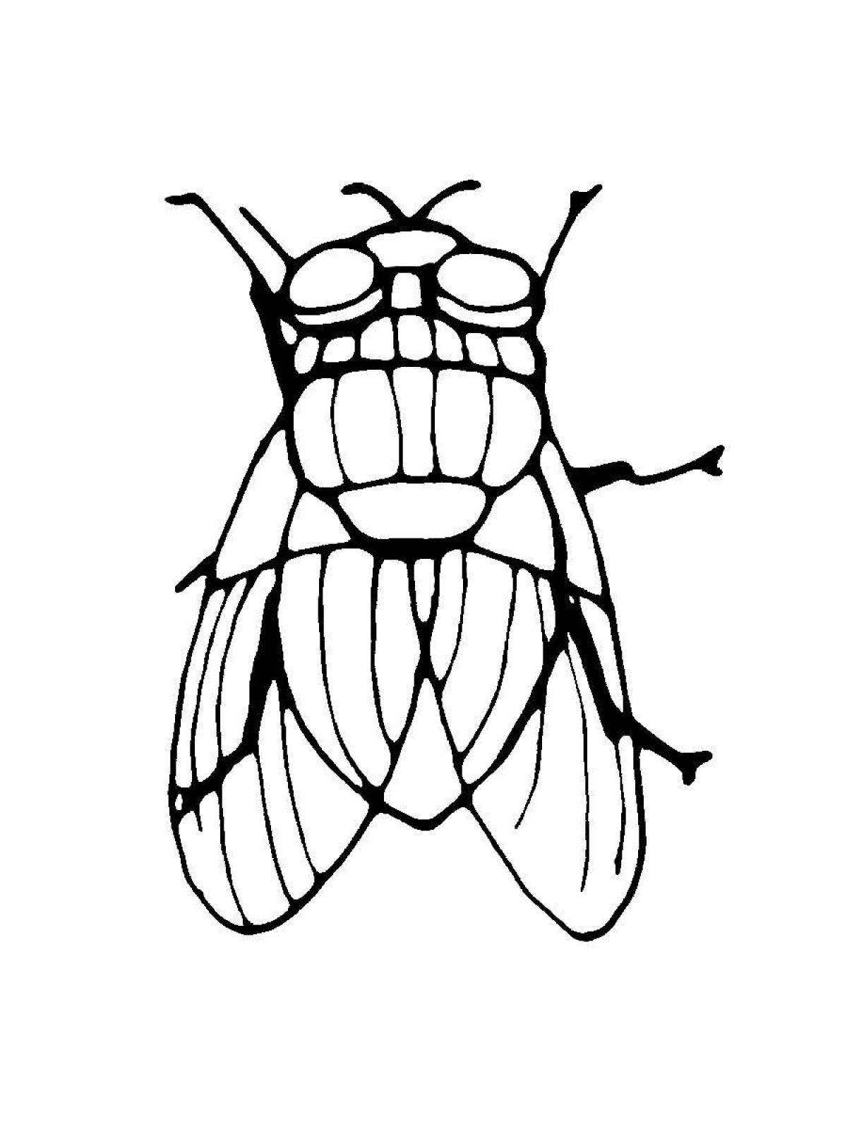 Sweet fly coloring book for children 3-4 years old