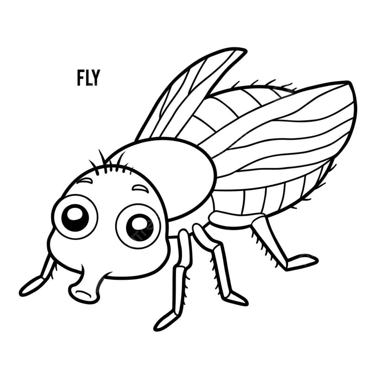 Innovative fly coloring book for 3-4 year olds