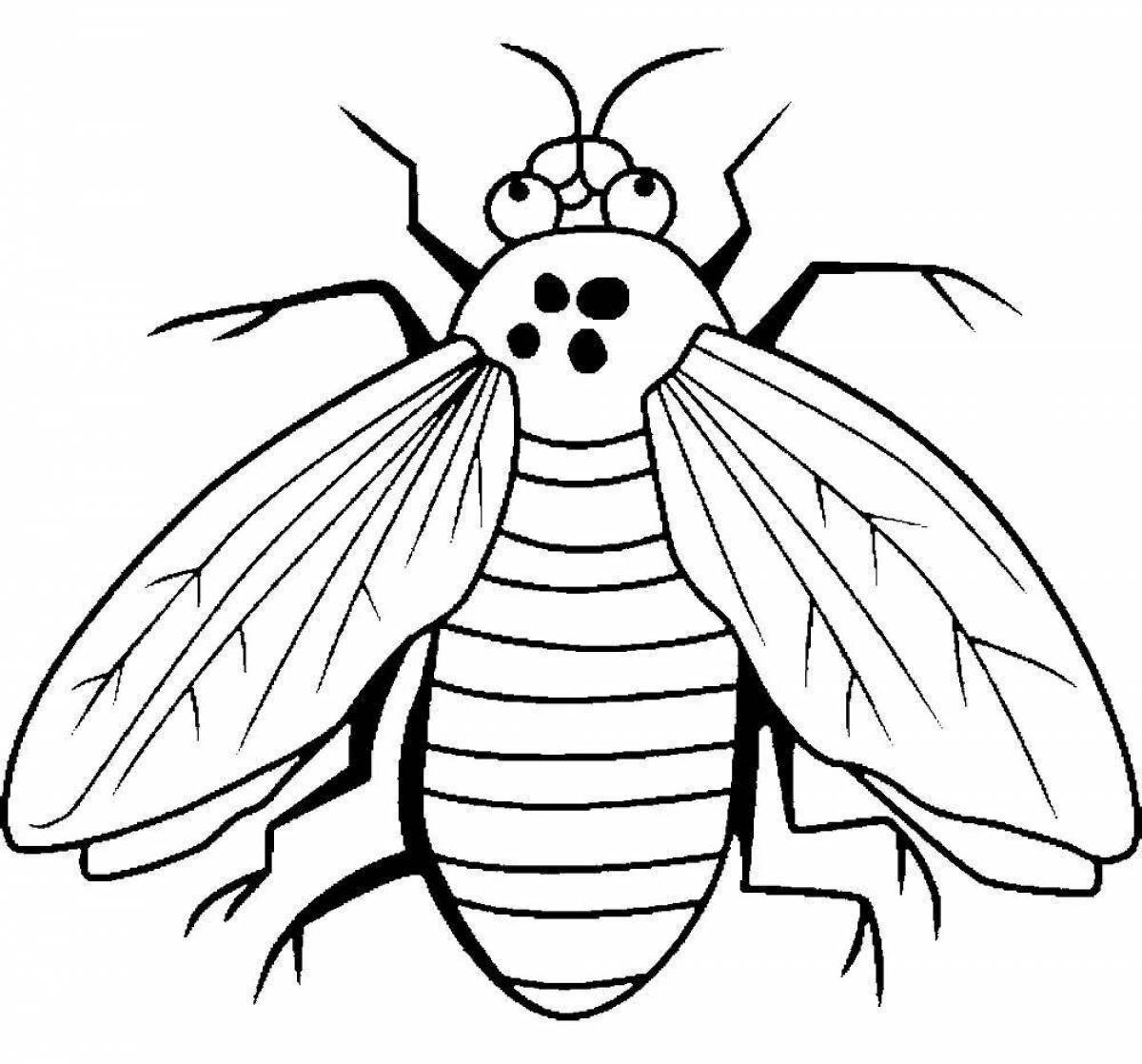 Intriguing fly coloring book for 3-4 year olds
