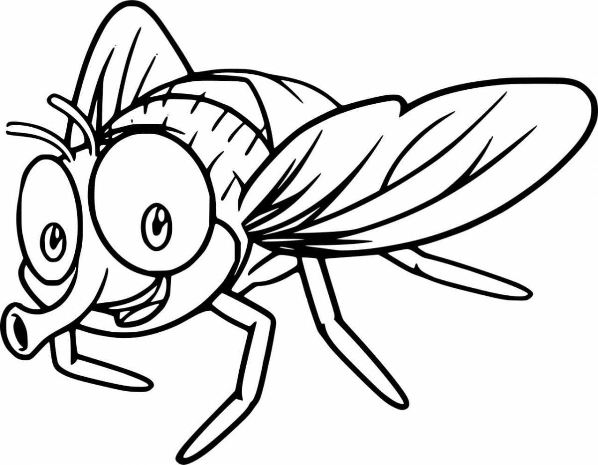 Great fly coloring book for 3-4 year olds