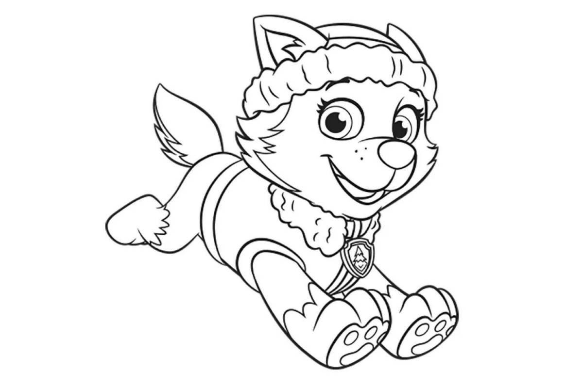 Paw Patrol playful coloring book for 5 year olds