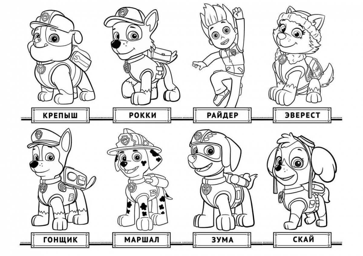 Colourful funny coloring book Paw Patrol for children 5 years old