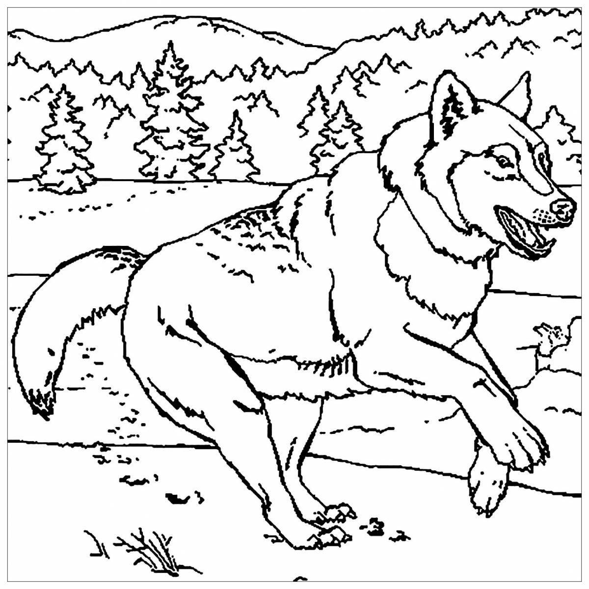 Graceful wolf coloring book