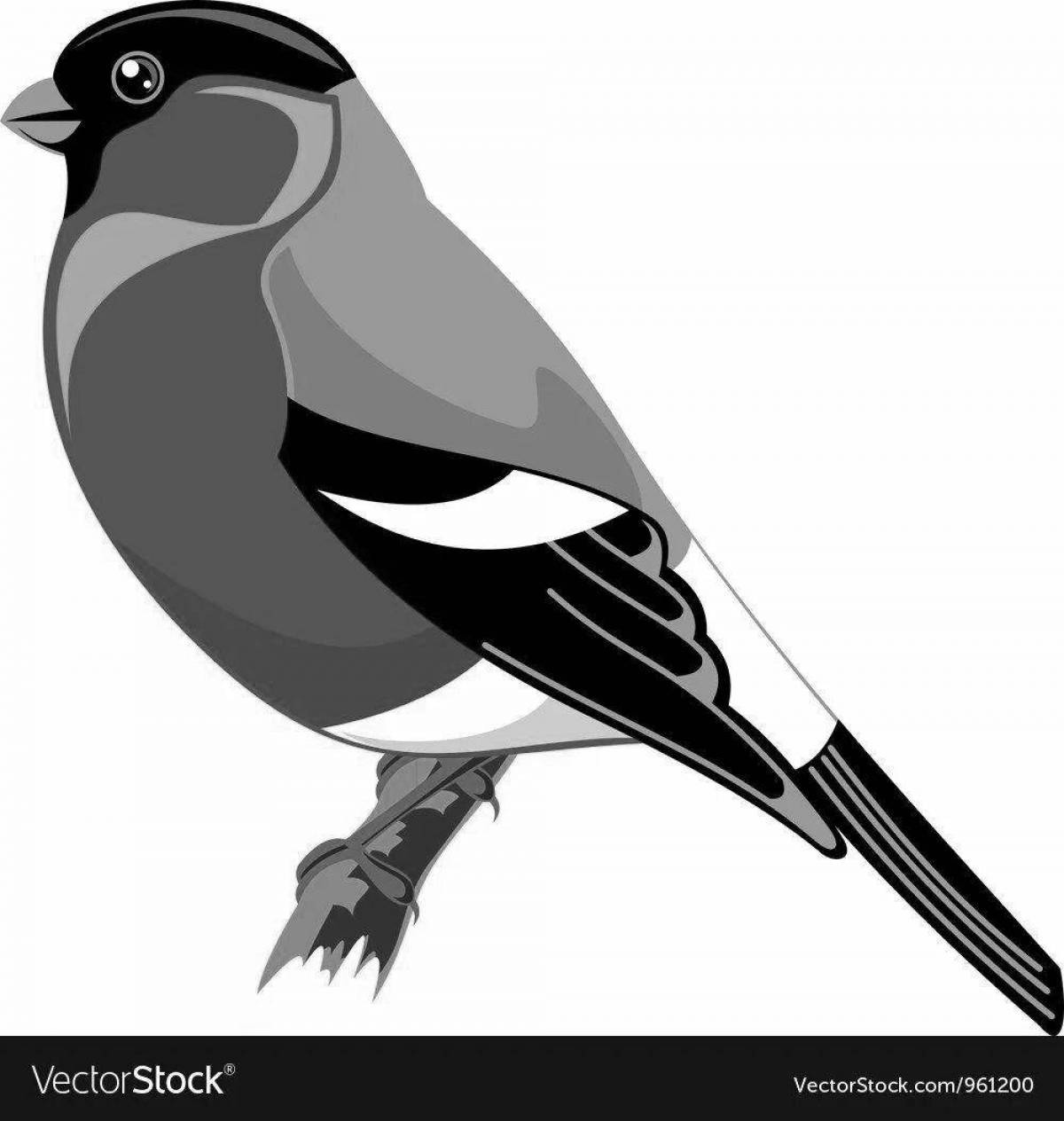 Coloring book for preschoolers happy bullfinch