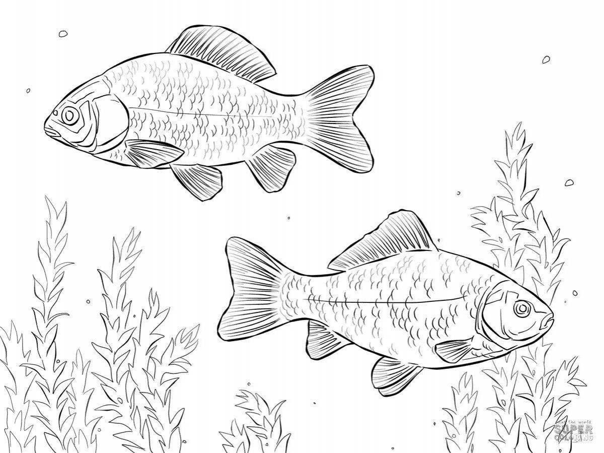 Photo Coloring page playful river fish