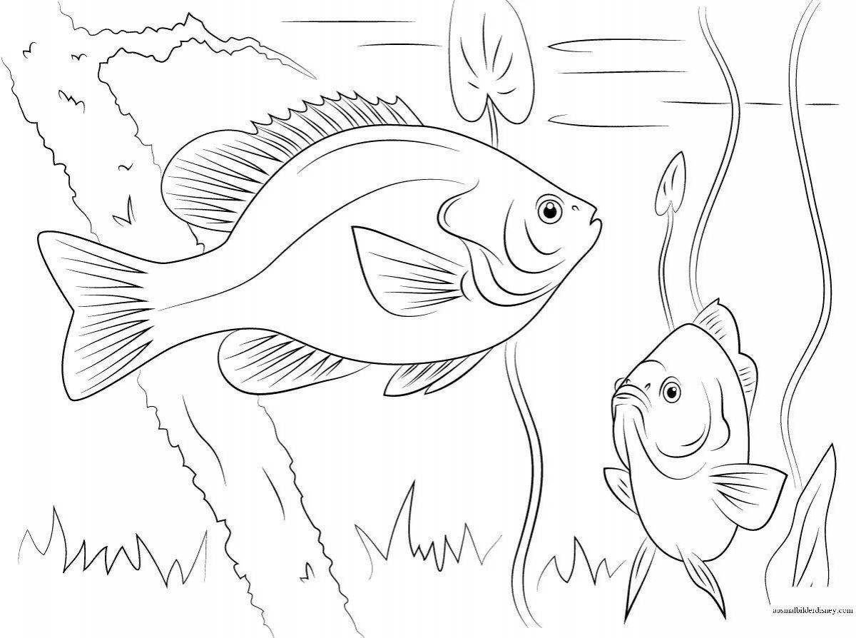 Photo Amazing river fish coloring page