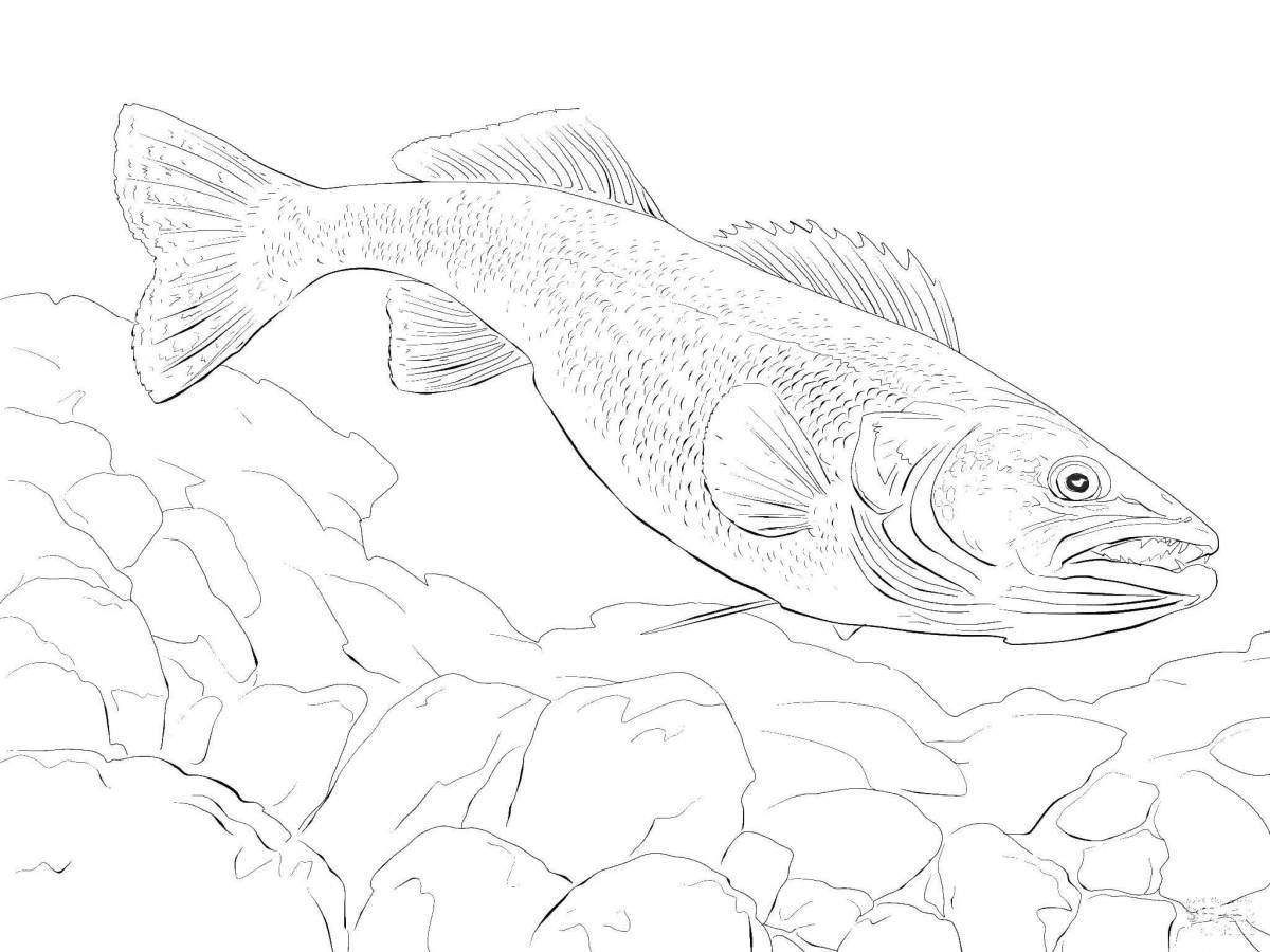 Coloring page magnificent river fish