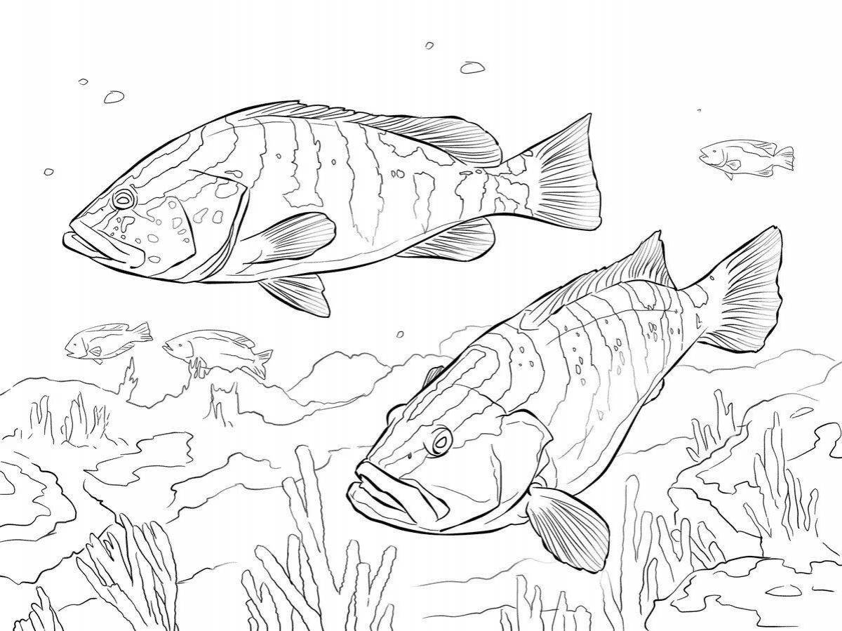 Coloring page nice river fish