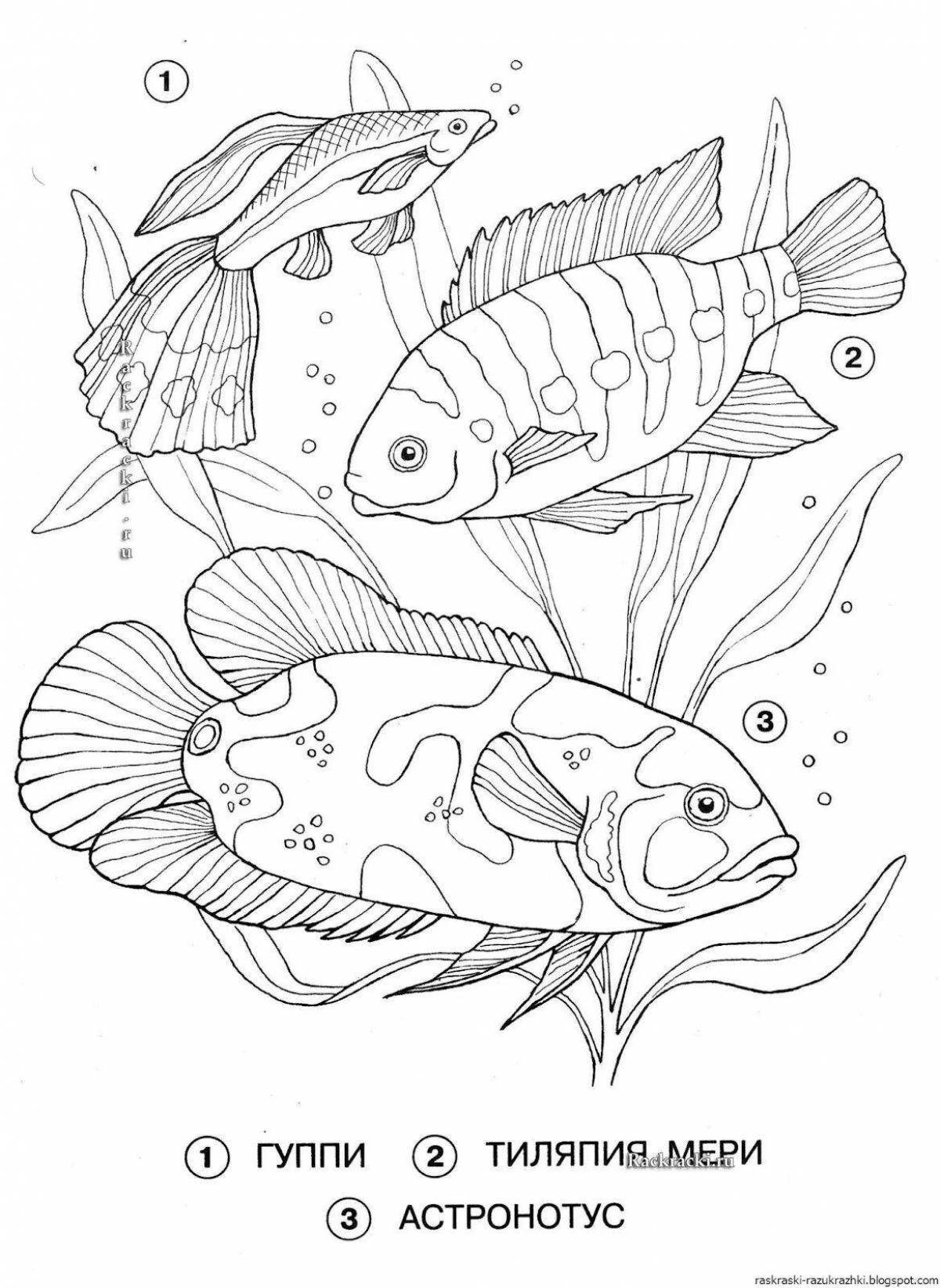 Adorable river fish coloring page