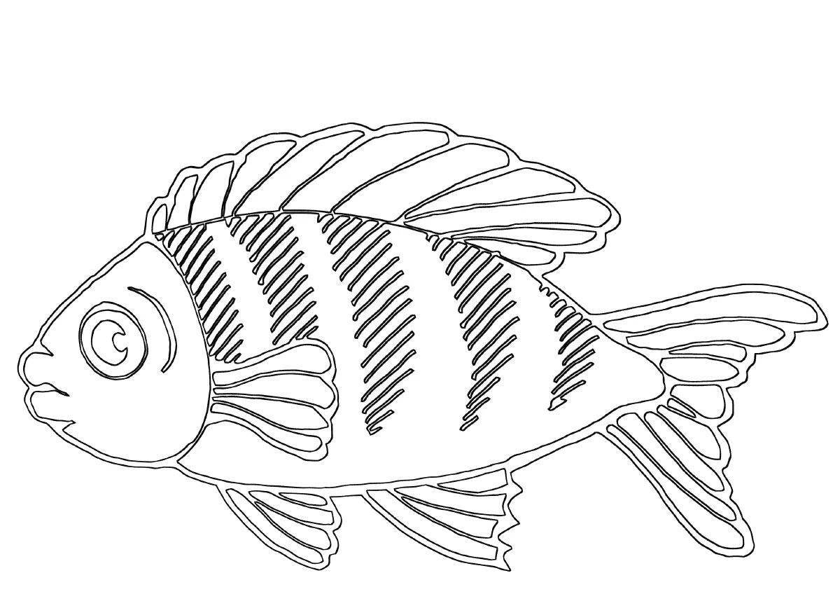 Fun coloring river fish