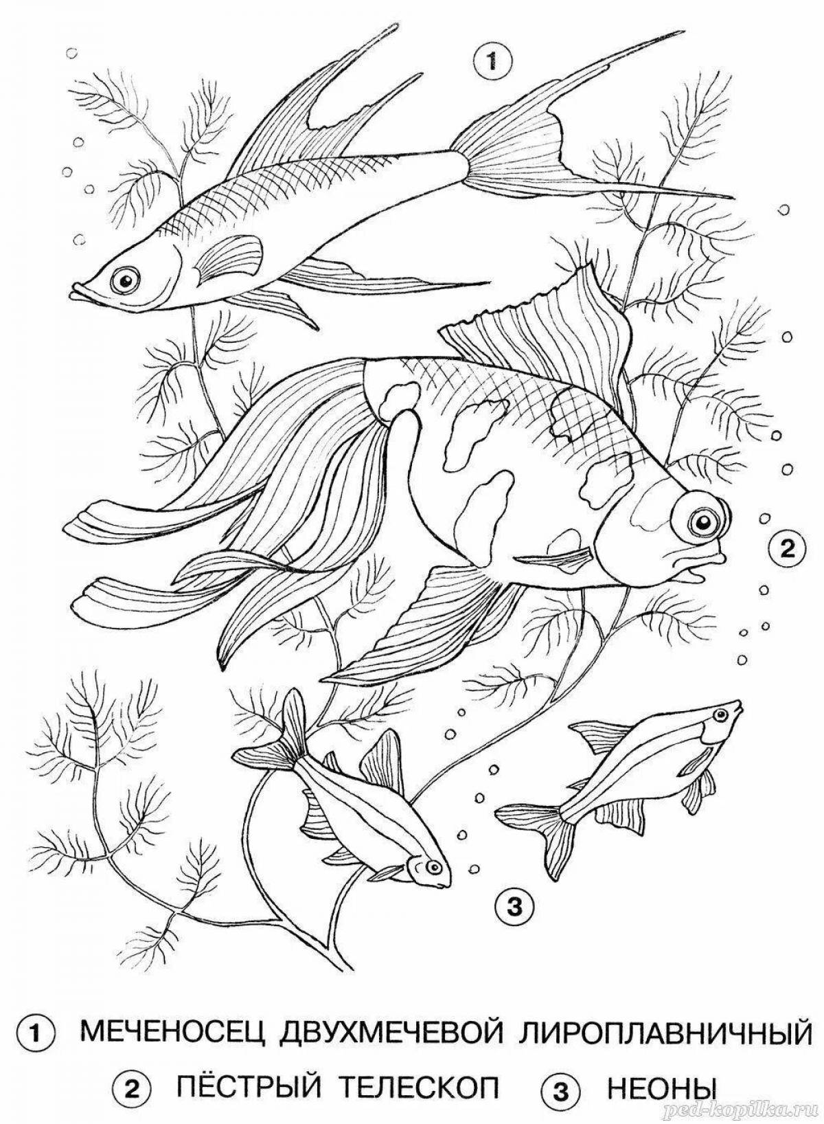 Coloring page dazzling river fish