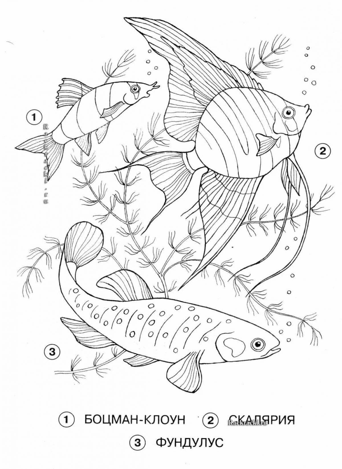 Photo Sweet river fish coloring page