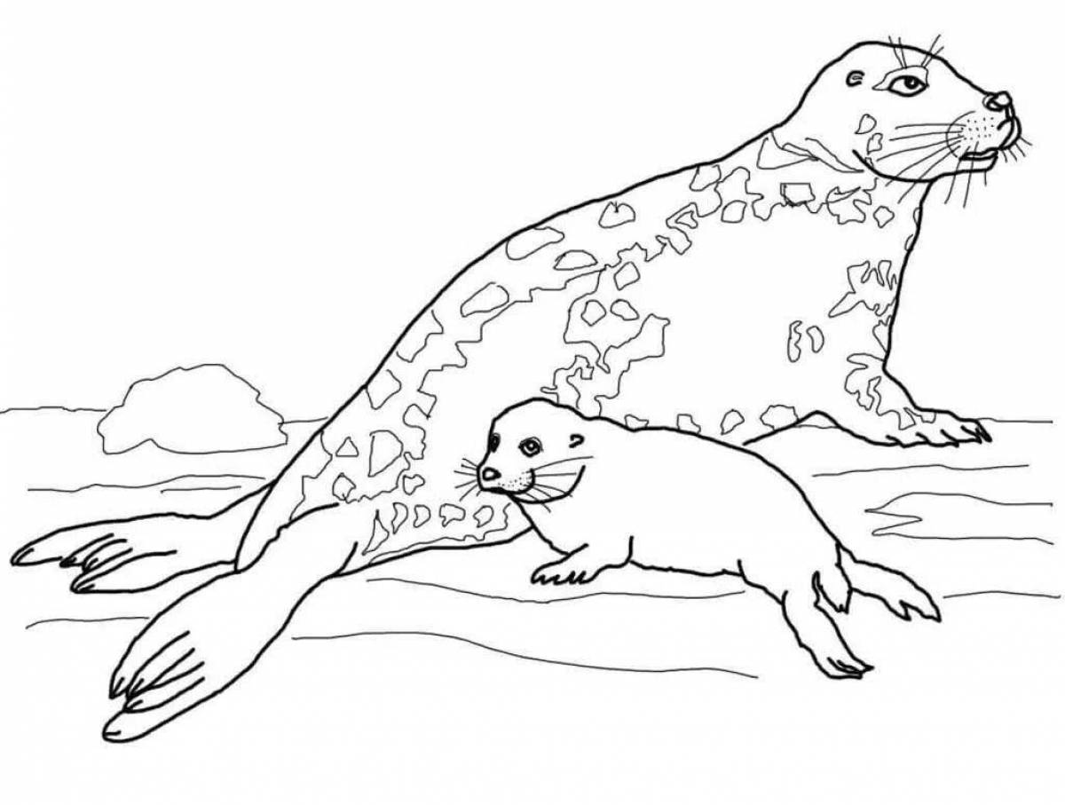 Раскраска яркий щенок арктического тюленя