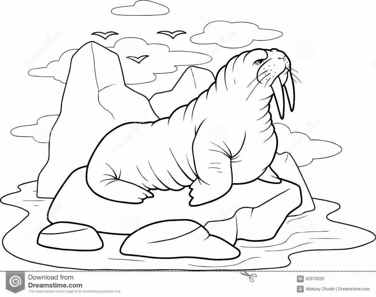 Coloring book happy arctic walrus cub