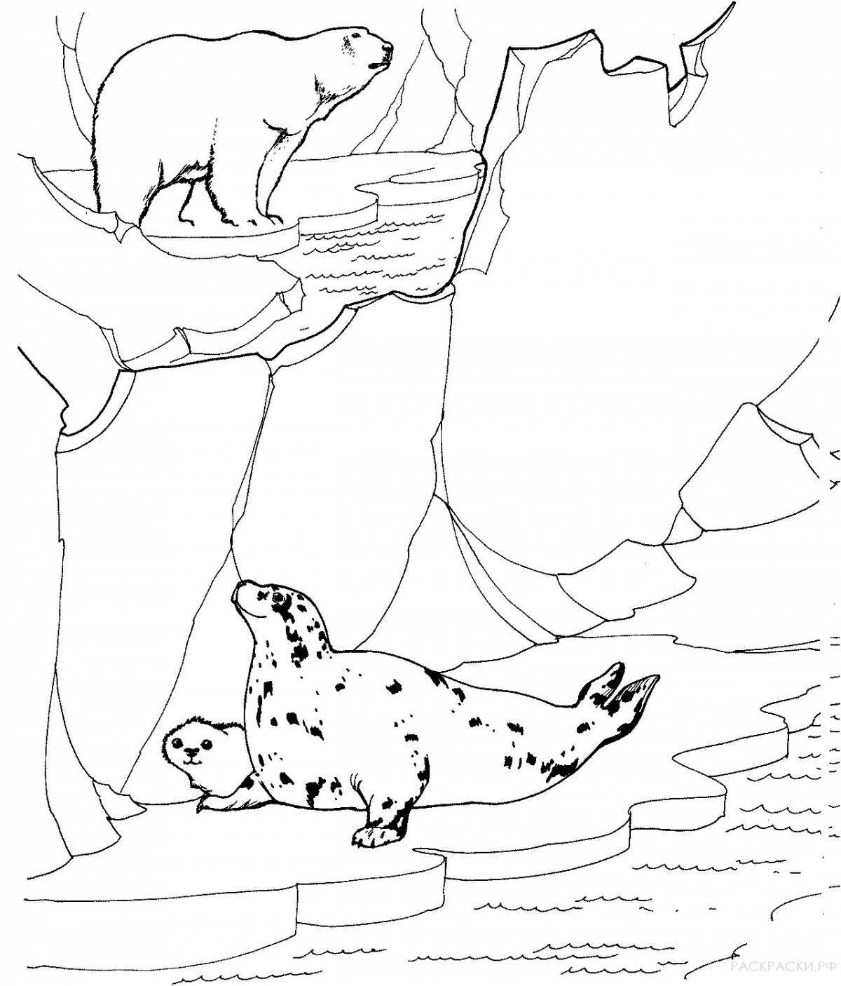 Coloring book exquisite family of arctic seals