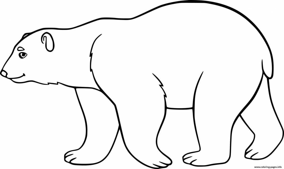 Красочная раскраска «белый медведь» для детей 6-7 лет