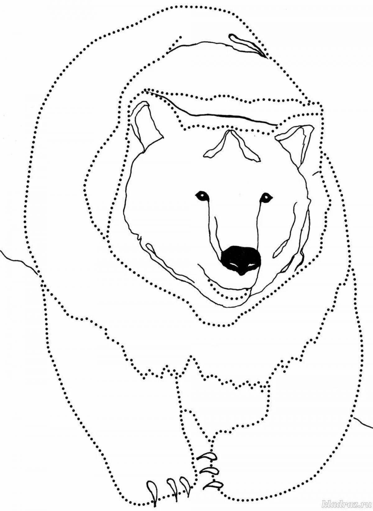 Очаровательная раскраска «белый медведь» для детей 6-7 лет