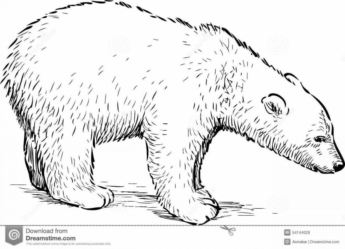 Вдохновляющая раскраска «белый медведь» для детей 6-7 лет