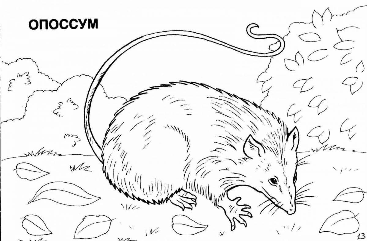 Major red book animal coloring pages