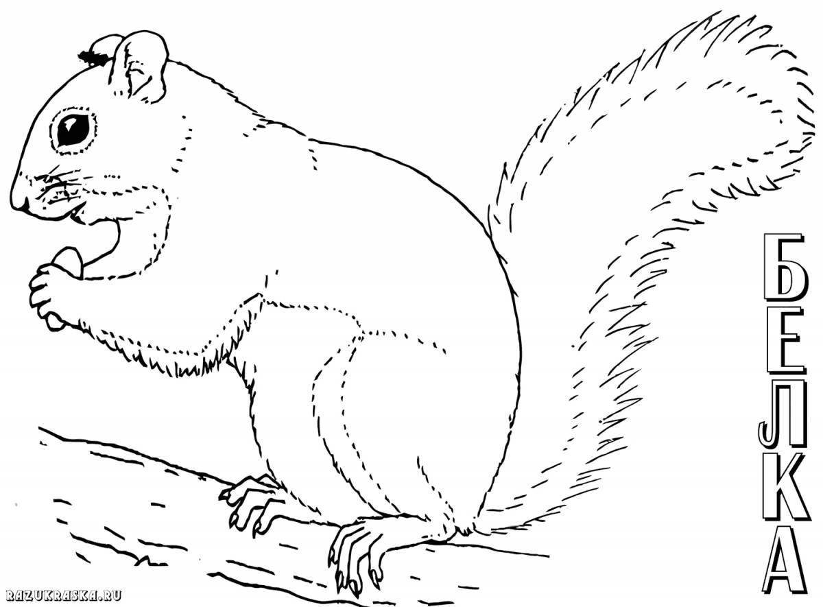 Playful forest animals coloring page for 6-7 year olds