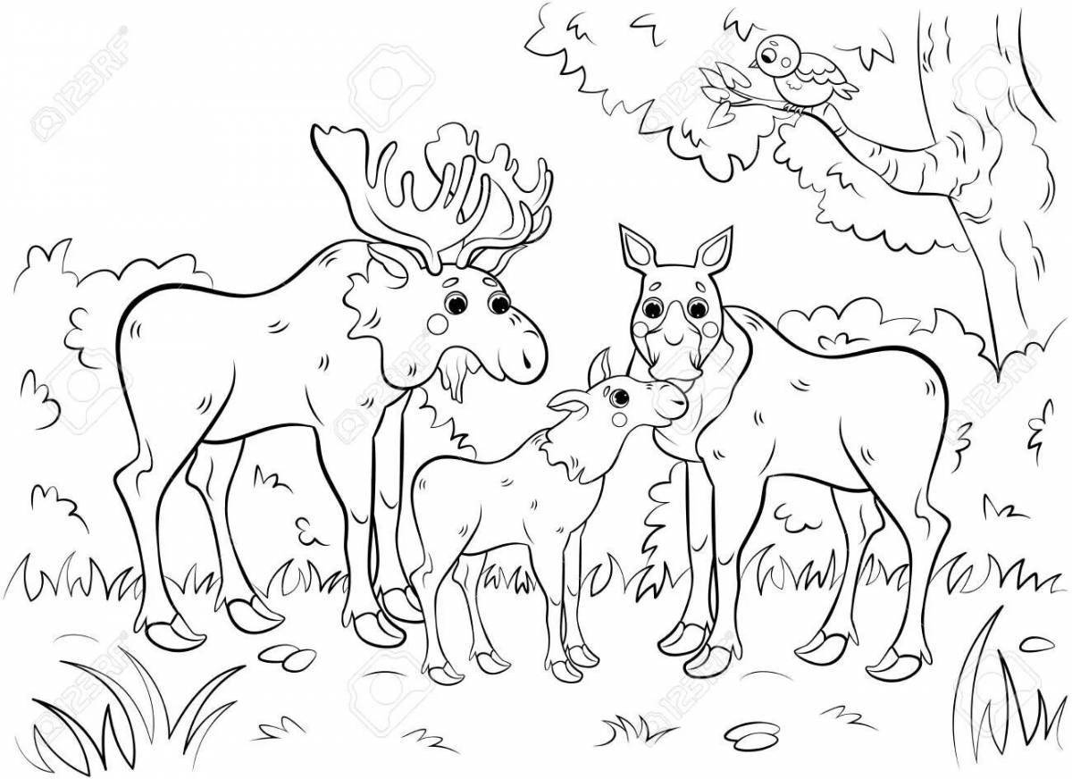 Cute forest animals coloring pages for 6-7 year olds