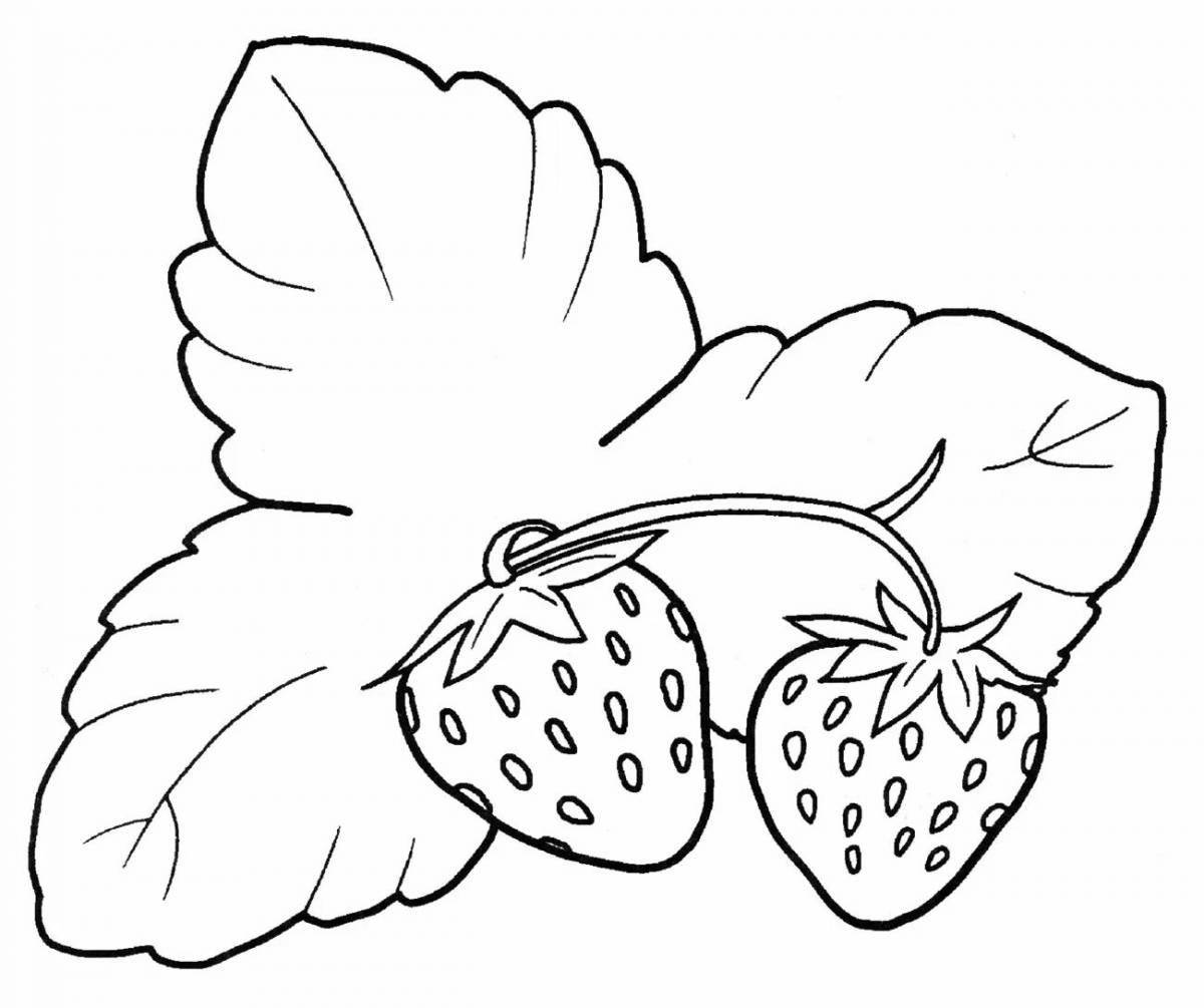 A fun raspberry coloring book for 3-4 year olds