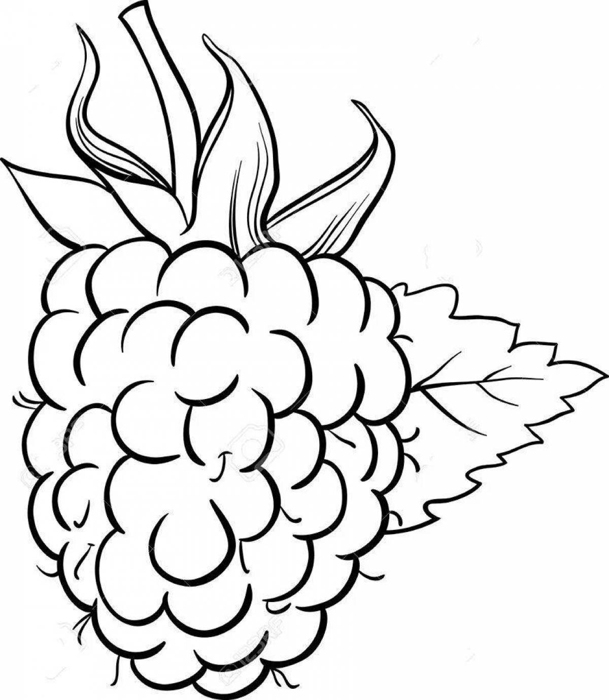 Playful raspberry coloring book for 3-4 year olds