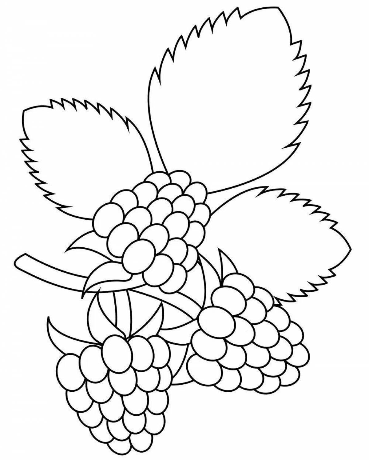 Fun raspberry coloring book for 3-4 year olds
